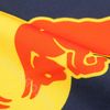 Castore - Red Bull Racing F1 Team Flag