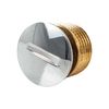 Closure Plug 3/4 Inch Male Thread with Chrome-Plated Cover