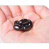 Proposyme Propolis Coenzyme Q10 Reduction Type Supplement