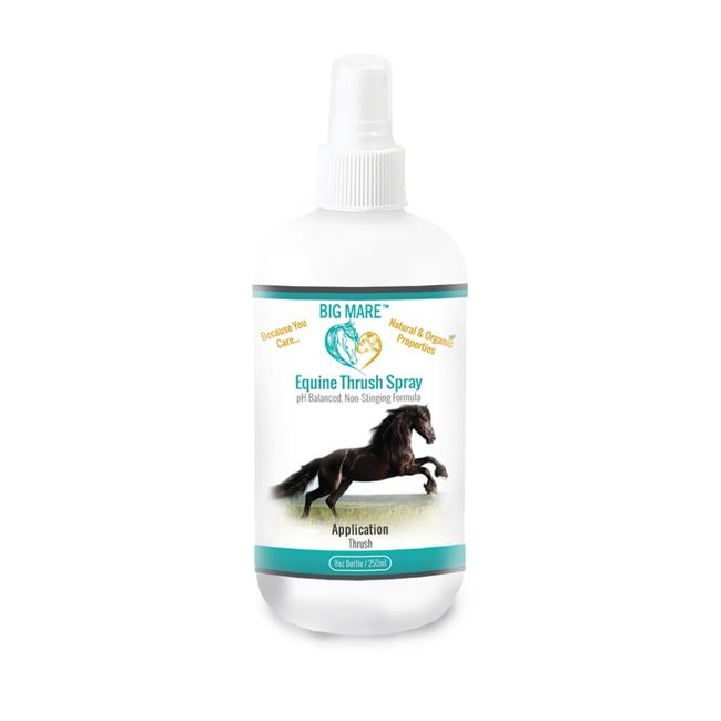 Big Mare Horse Thrush Spray | Clinically Proven Effective On Thrush. No Sting, No Stain Formulation. Veterinary Approved & Recommended.