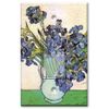 Printed Single-pole Decora Rocker Switch with matching Wall Plate - Van Gogh - Vase & Irises