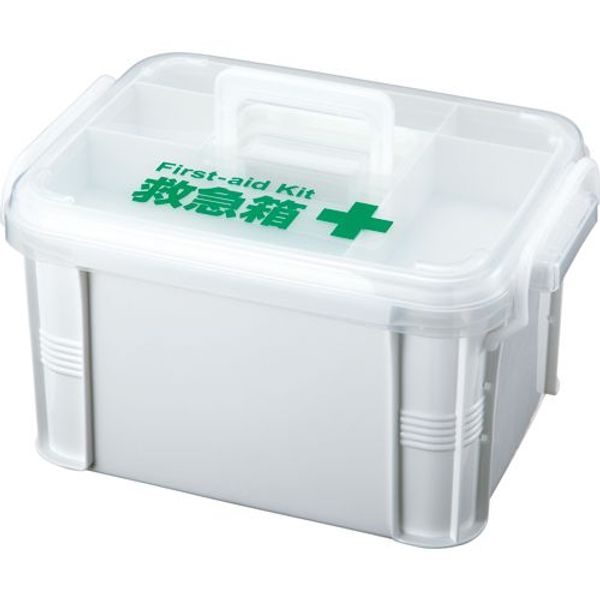 Delivery to private homes not available. Limited to corporations (companies/businesses). First aid kit (1 unit).