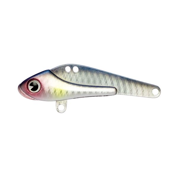 Amz Design (Ima) SCHNEIDER 13#SD13-107 Zenbait