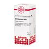 DHU Chelidonium LM VI Dilution, 10 ml Lösung