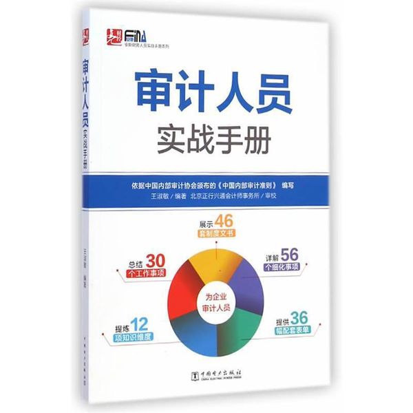 审计人员实战手册 王淑敏著 中国电力出版社【正版】