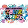 AAA DOME TOUR 2018 COLOR A LIFE(DVD2枚組)