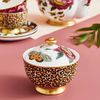 Spode Covered Sugar Bowl Multi Coloured CRC8826-XW, 7 Ounce