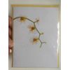 2 Cards Papyrus High Quality Beautiful Orchid Flowers Blank Inside