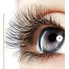 Top Eyelash Growth Serum for Longer, Thicker, Fuller Brows & Lash 0.1 fl.oz.