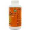 Lifestream Organic Wheat Grass Powder 250g