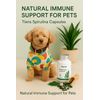 Spirulina for Dogs Natural Immune Boost & Calming Support 100Capsules