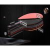 Senston Professional Table Tennis Paddles Advance Intermediate Ping Pong Paddles Set of 2, Table Tennis Racket with Carry Case