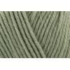 Sirdar Snuggly DK, Pear (529), 50g