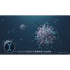 Iga Antibody Mask Regular Size Pack of 20