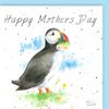 Puffin Mother's Day Quality Blank Greetings Card