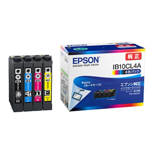 Genuine Epson IB10CL4A Ink Cartridge Card Case Pack of 4 Colors