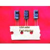 25 pcs   -   100uf  25v  radial electrolytic capacitors