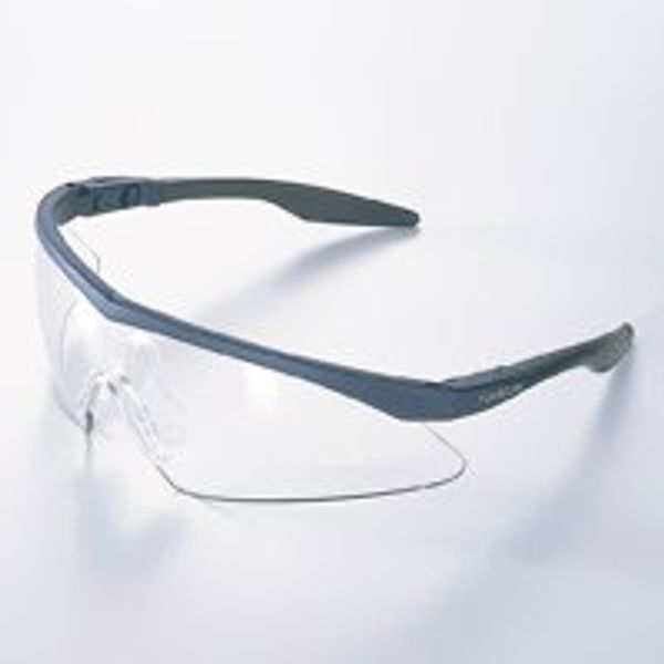 Spectacular Pit Pit 2700-PCF Safety Glasses