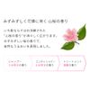 Ichikami Smooth Care Hair Shampoo Pump 480 ml