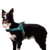 DOCO No-Pull Dog Harness Halter Reflective Easy-Control Harness for Training, Walking, and Preventing Pulling, Ideal for Medium Dogs(Turquoise)