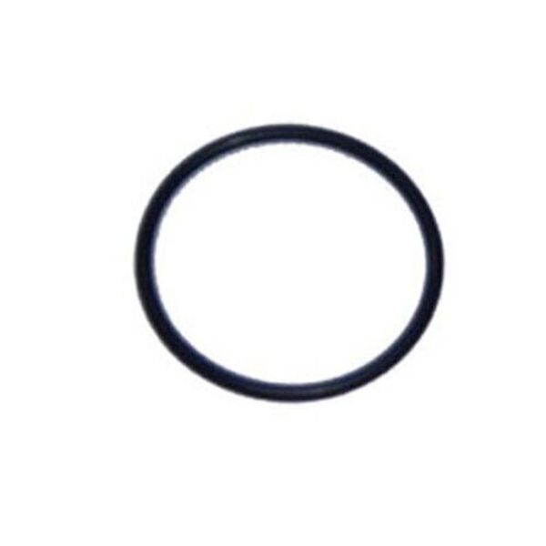 Replacement Pentair 59000600 O-Ring / FNS & Pool and Spa D.E. Filter   O-24