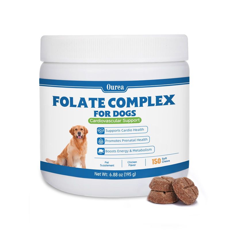Folic Acid for Dogs - Dog Prenatal Vitamins with B12, Zinc, Biotin ...