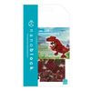 Kawada Nanoblock T-Rex NBC_320
