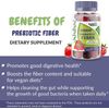 Fiber Prebiotic Gummies Sugar Free, Keto Friendly Dietary Supplements