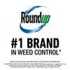 Roundup Weed & Grass Killer4 Concentrate, 1 gal.