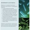CONSULT BEAUTE MICROBIOME PRE & PROBIOTIC RESET TREATMENT MASK (2-Pack)