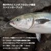 DAIWA Fishing Stringer Spare Hook Fishing Lures