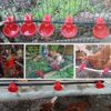 20x Poultry/Quail Water Drinking Cups Chicken Hen Plastic Automatic Drinker NEW
