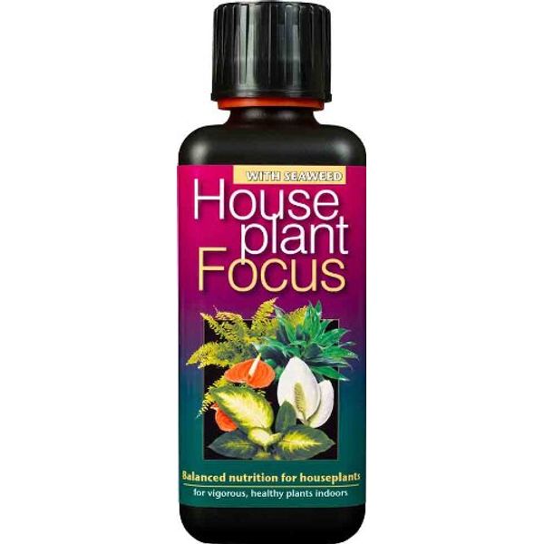 House Plant Focus 300ml