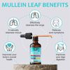Undelio Lung Defense 8 in 1 Herbal Blend 2 oz
