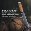 HELLE Knives - Lappland - Traditional Nordic Utility Knife - 8.4" Sandvik Stainless Steel Blade with Birch Handle and Leather Sheath - Made in Norway