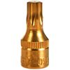 HAZET 163-251/14 Torx Profile Tool Set - CVD-TIN Coated