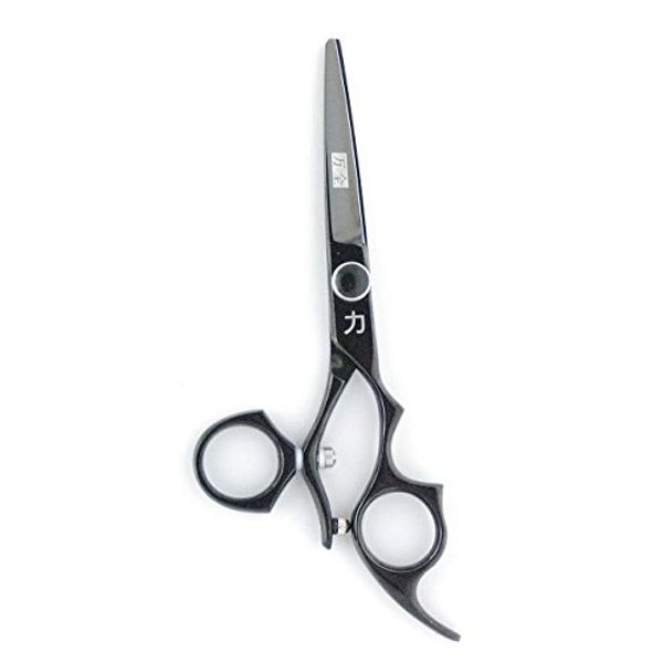 Professional Salon/Barber Shears Swivel, Black Titanium, 6 Inch, 2.3 ounce