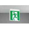 Toshiba Lightech FBK-10701-LS17 LED Evacuation Exit Guide Light (Single Sided Light) Display Panel Sold Separately