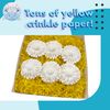 Mandarin Bird Toys 6002 Sola Daisy Beak Box