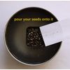 Lithops Germination Sowing Kit -Soil-Seeds
