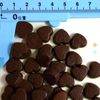 Mini Mini Heart Chocolate, Commercial Use, 17.6 oz (500 g)