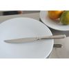 Alessi 6 Stück Dessertmesser CACCIA