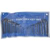 Blue Spot Tools 15307 B/SPOT Hex Key Set and Pouch (25-Piece)
