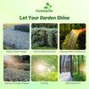 Outsidepride Perennial Dichondra Silver Falls Seed - 15 Pcs Heat & Drought-Tolerant, Low-Maintenance Ground Cover Seeds for Planting, Ideal for Container Plant, Erosion Control, & Silver Foliage