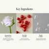 ROSY NIGHT REPAIR AMPOULE TREATMENT
