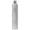 Kenra Platinum  #26 Finishing Spray 10 oz