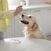 Pycnogenol Q10 for Dogs and Cats, 60 Tablets