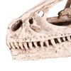 Oumefar Simulated Animal Skeleton Simulated Model Dinosaur Skull for Teaching Prop