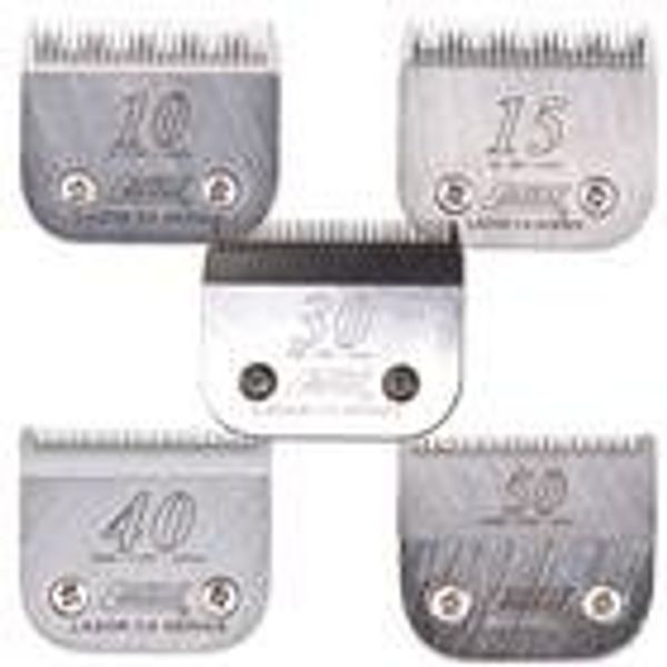 Laube CX #50 (0.2mm Cut) A5 Clipper Blade