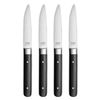 Amefa Fusion Steakmesser-Set, 4-teilig